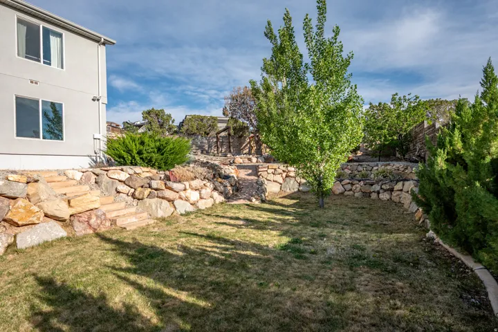 View of grassy yard