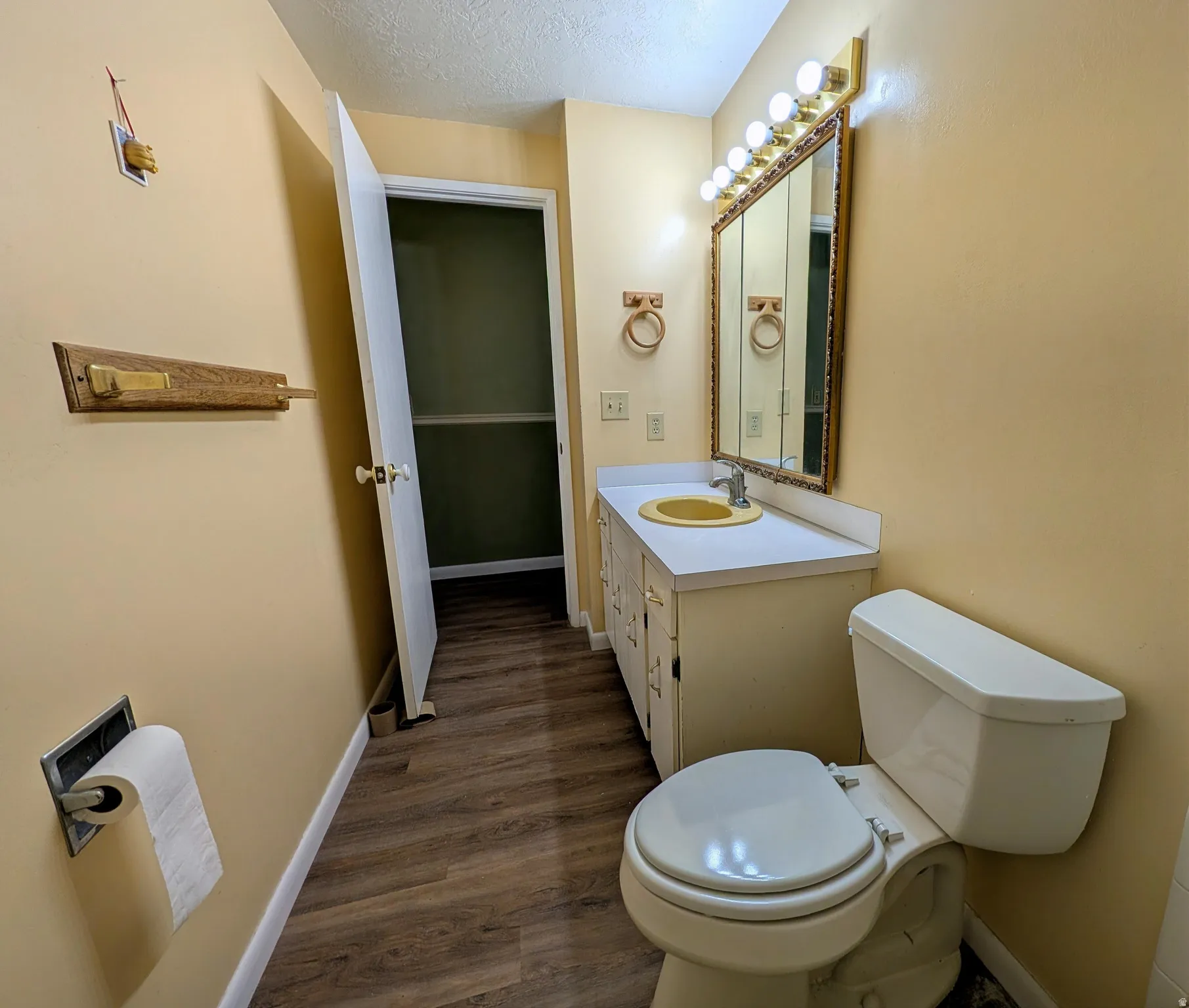 Half bath featuring vanity, a textured ceiling, and dark wood finished floors