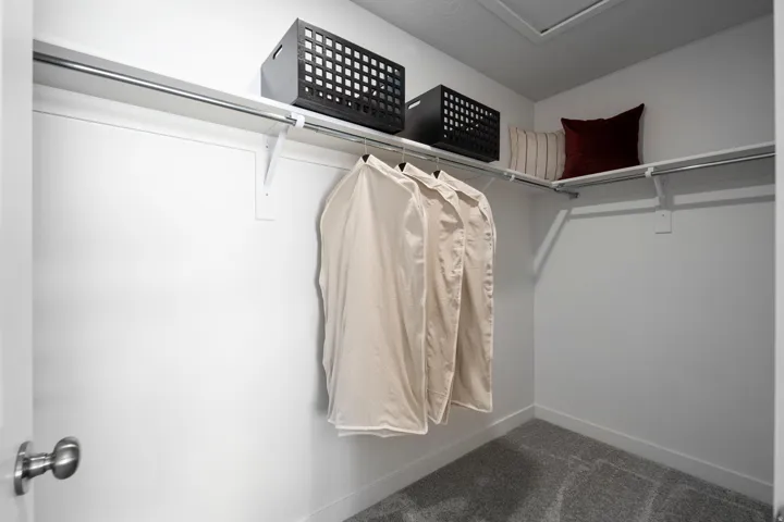 Spacious closet featuring carpet floors