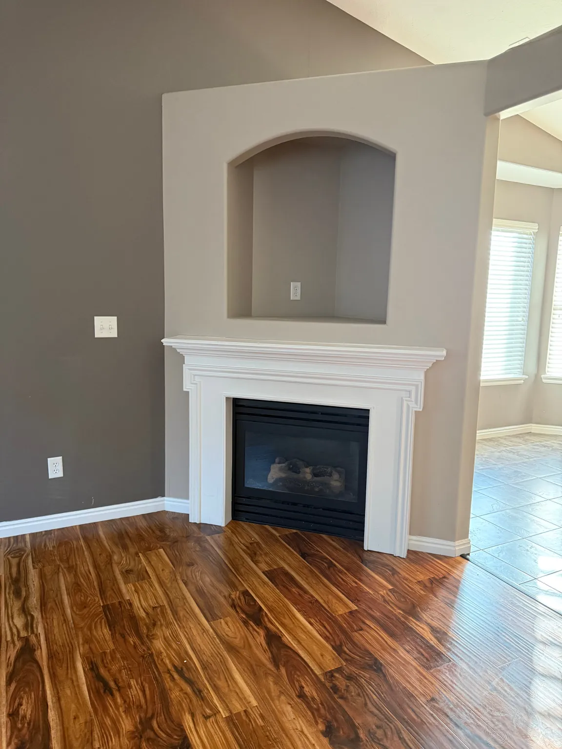 Detailed view of a glass covered fireplace and wood finished floors