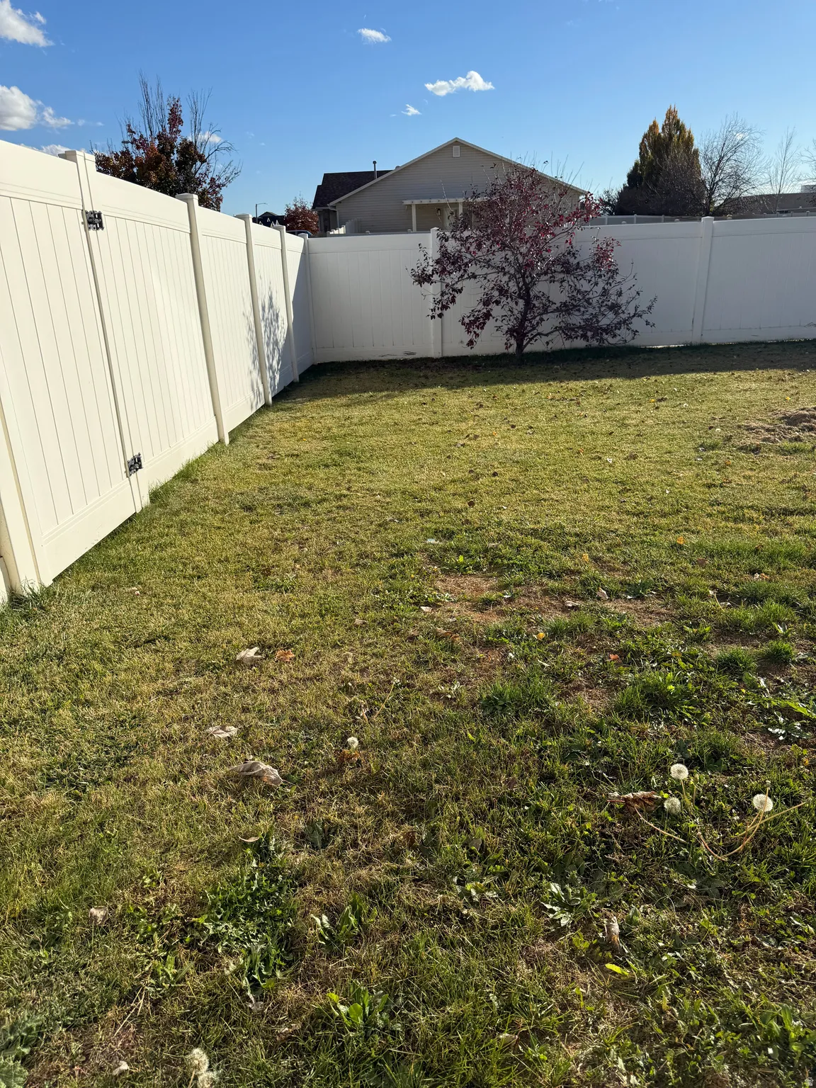 View of fenced backyard