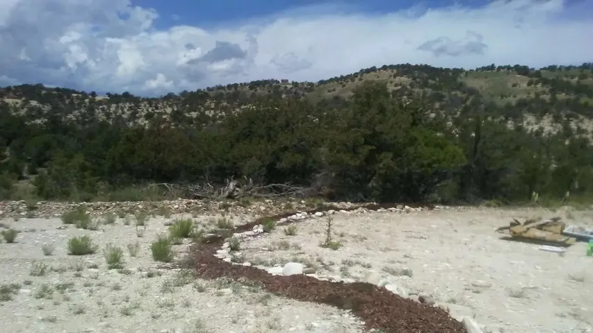 Mountain view with a forest