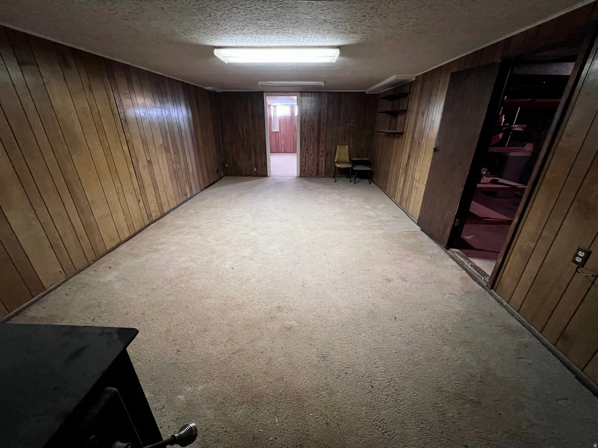Finished below grade area with wooden walls, light colored carpet, and a textured ceiling