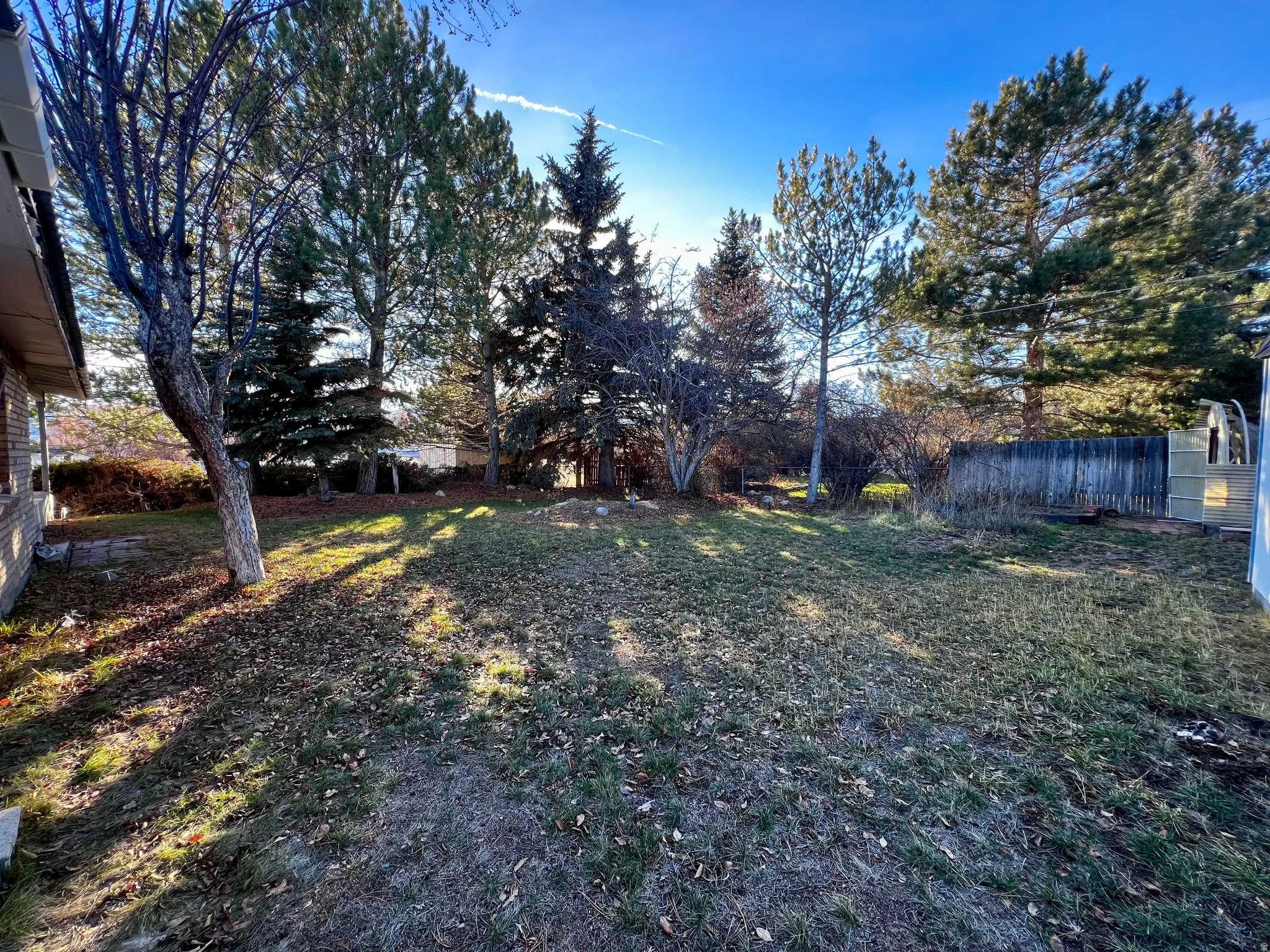 View of yard with view of wooded area