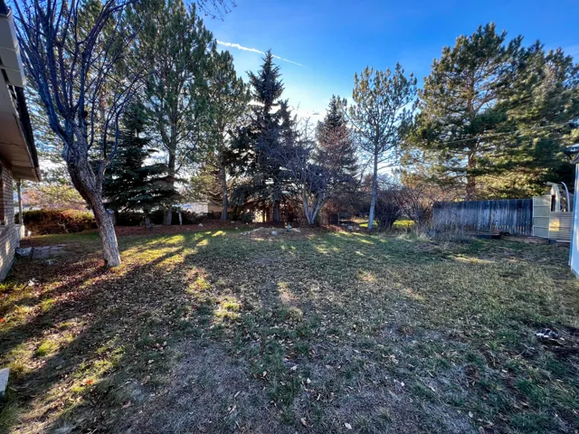 View of yard with view of wooded area