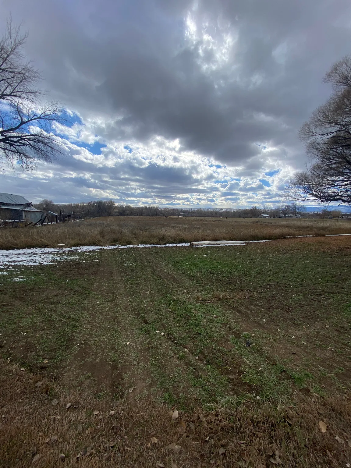 View of back pasture