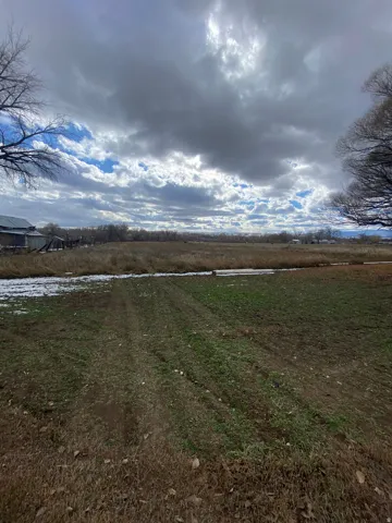 View of back pasture