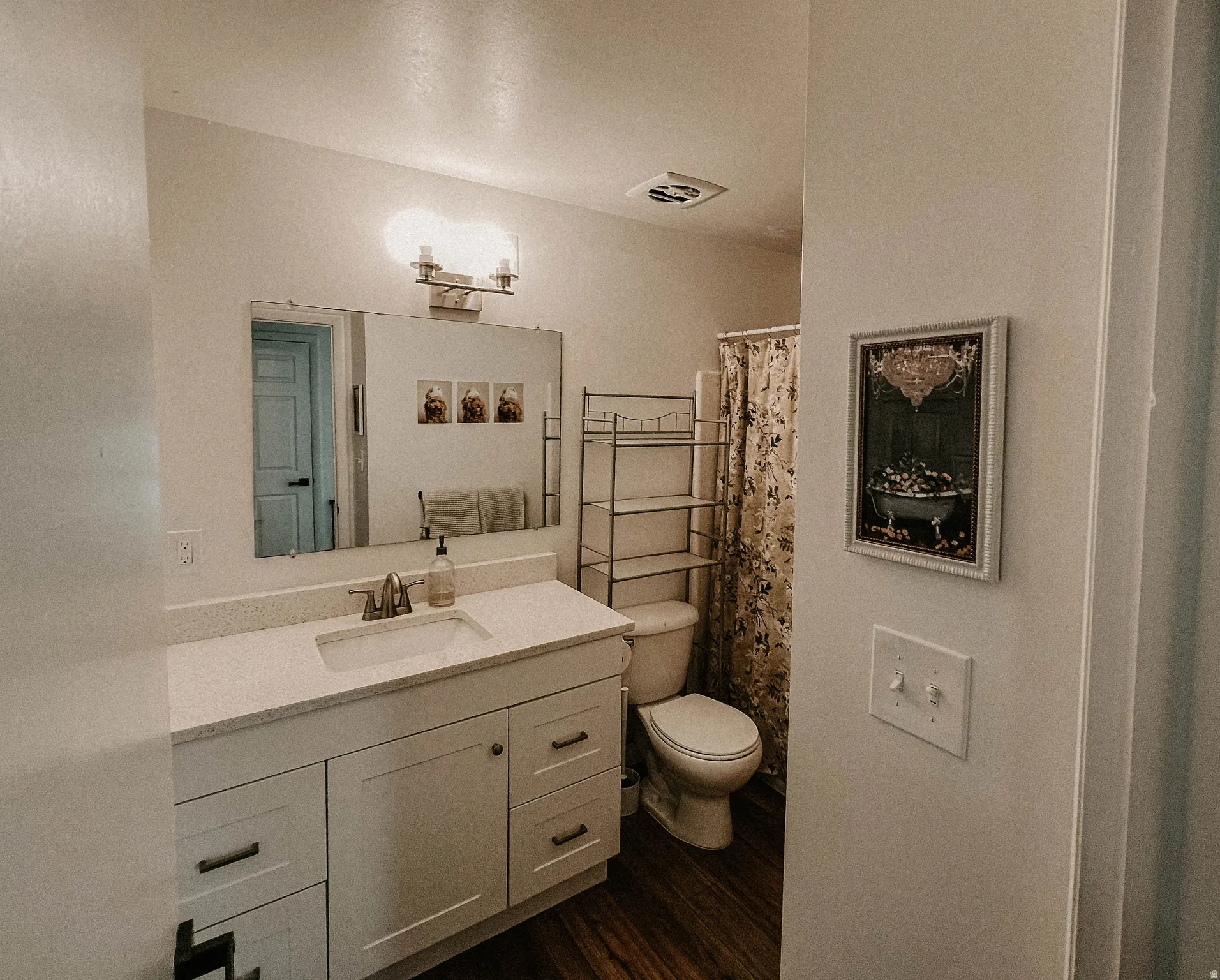 Bathroom featuring vanity, curtained shower, and dark wood finished floors