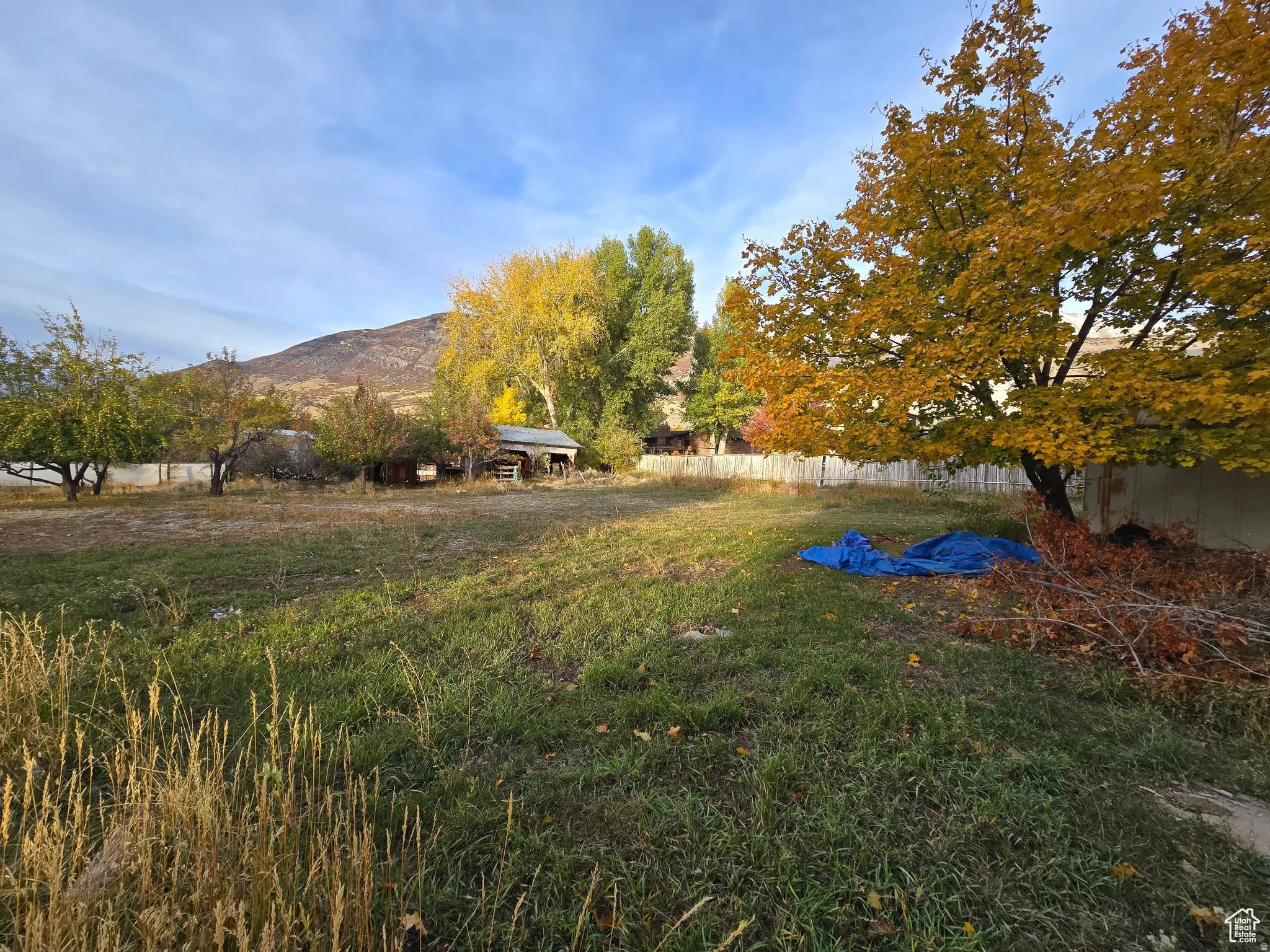 View of yard featuring a mountain view