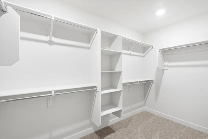 Spacious closet featuring light carpet