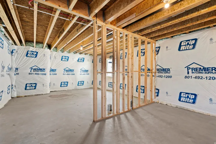 View of unfinished basement