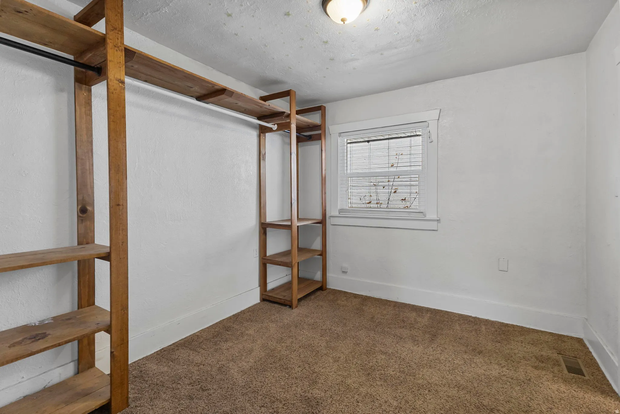 Spacious closet with carpet