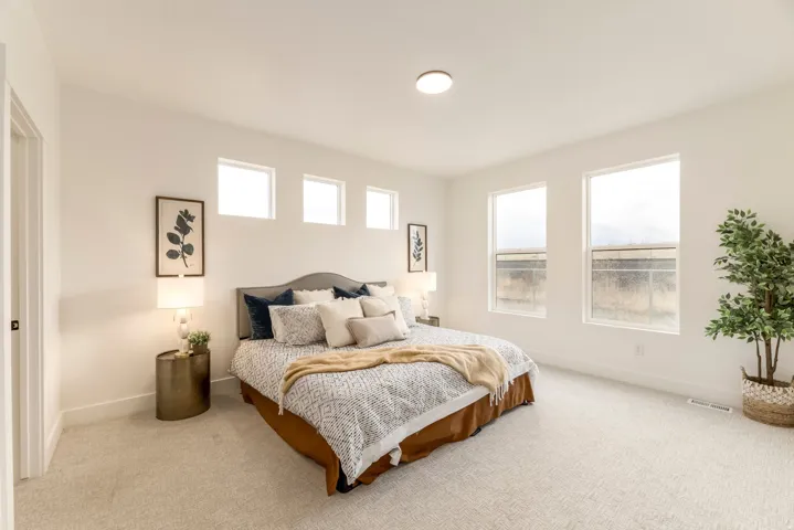 Carpeted bedroom featuring multiple windows