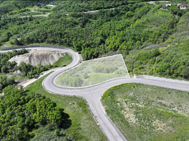 Expansive undeveloped land parcel with marked boundaries
