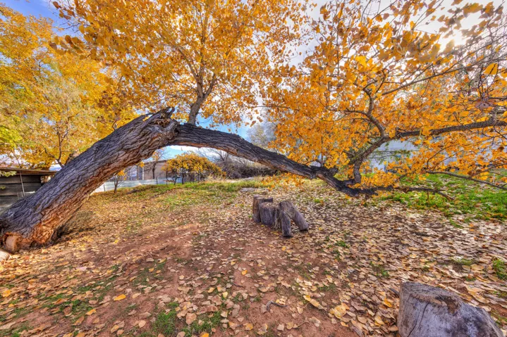 1431 S Millcreek Dr, Moab, Utah 84532