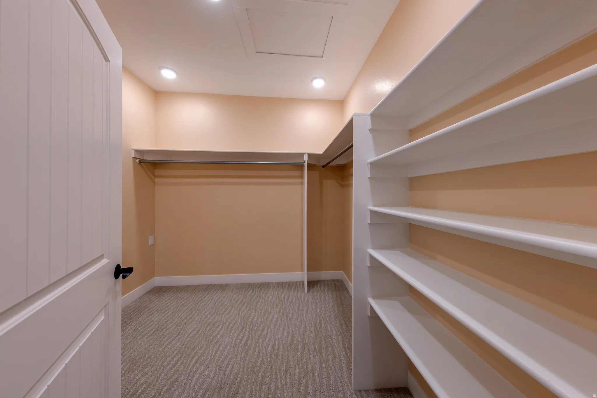 Walk in closet with light carpet and attic access