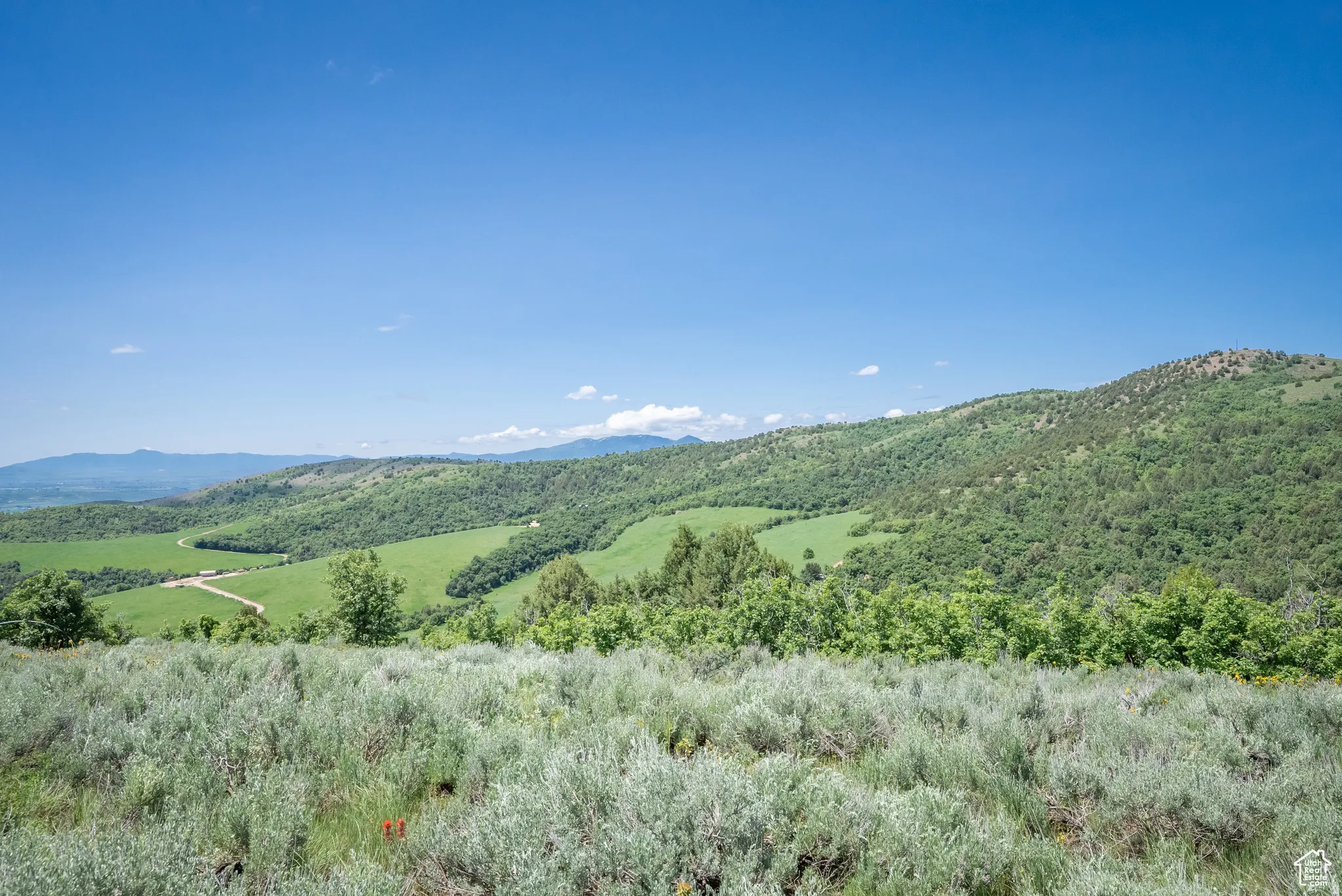 View of mountain background