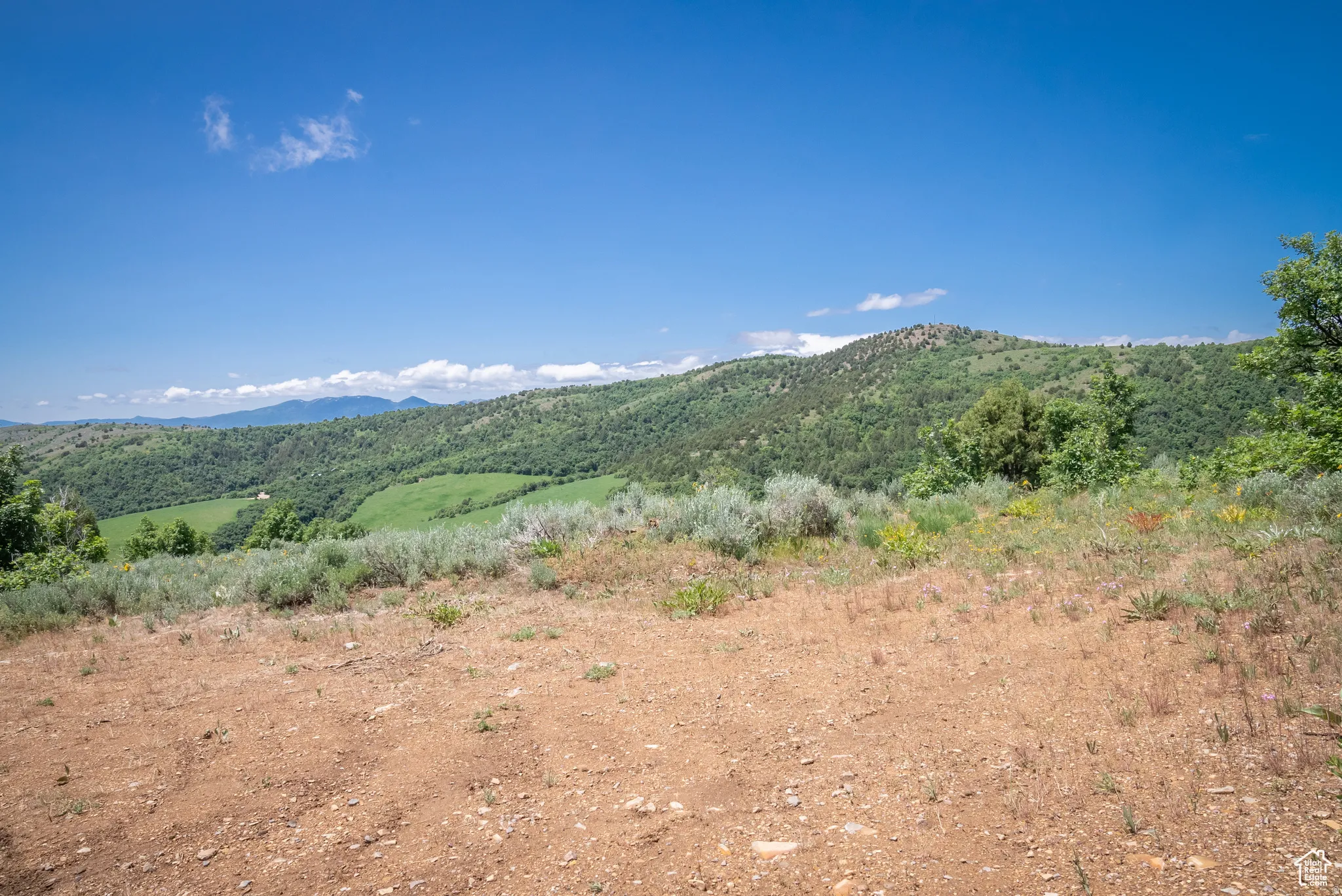 View of mountain background