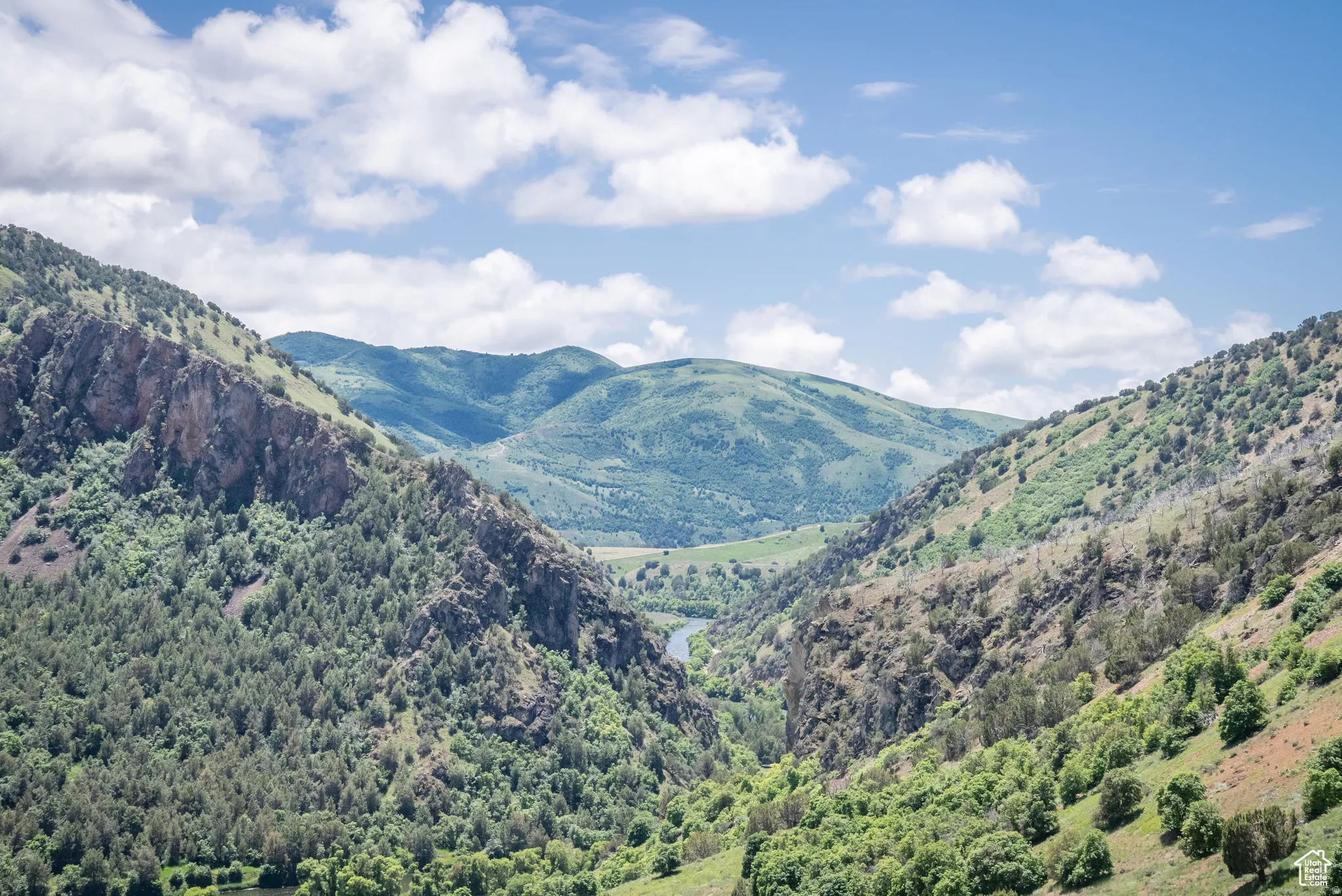 Mountain view