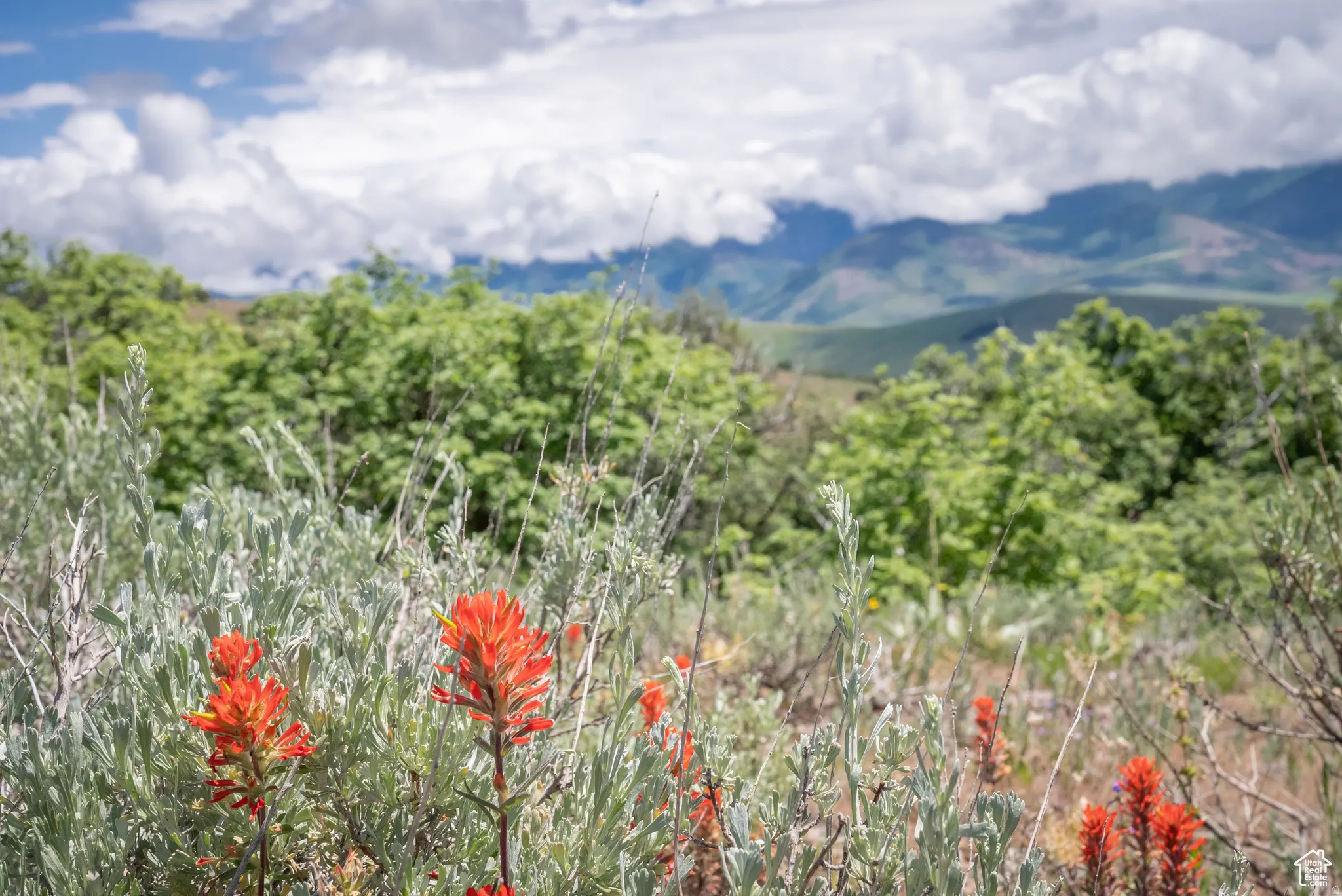 View of mountain backdrop