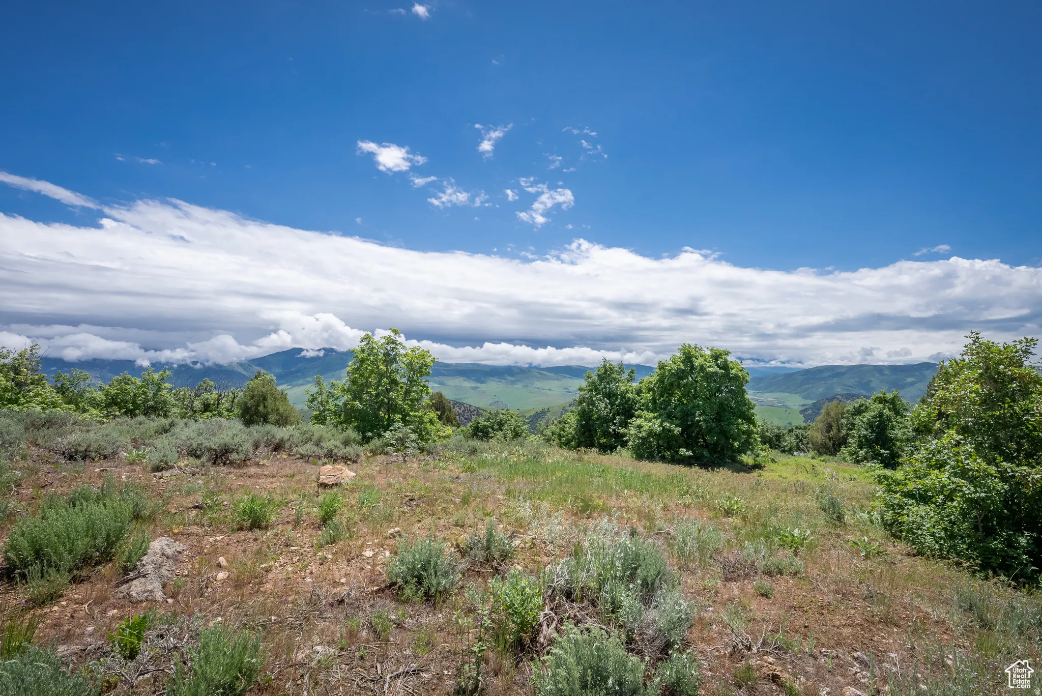 View of mountain backdrop