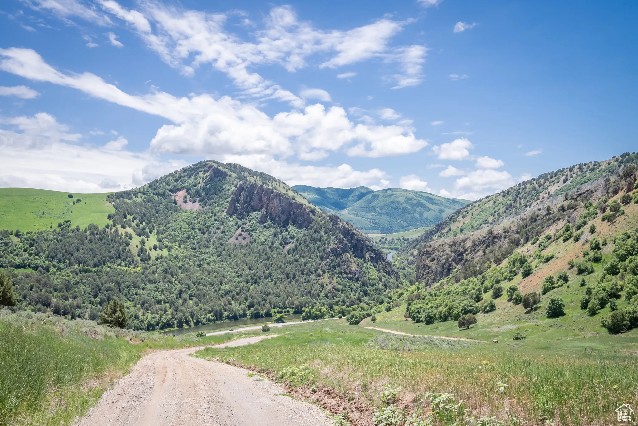 View of mountain background with a forest