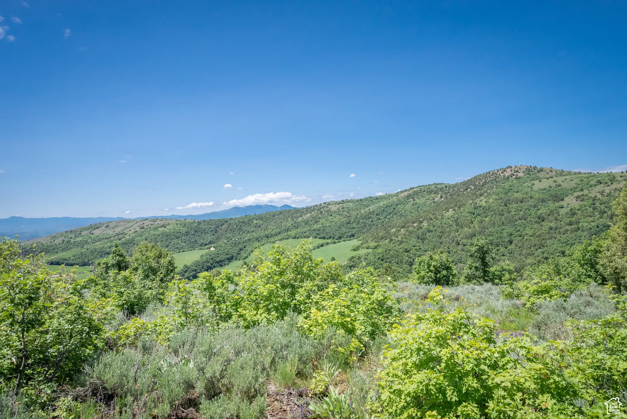 View of mountain backdrop