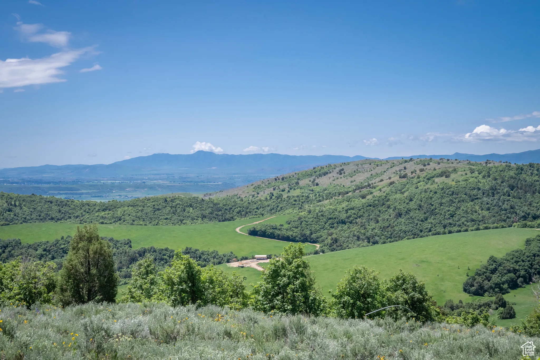 Mountain view