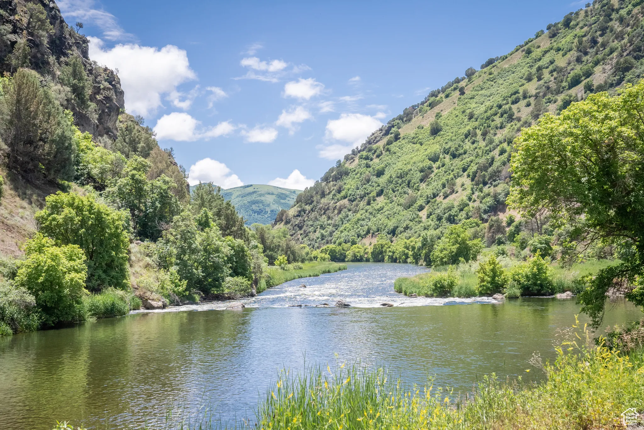 Water view featuring a forest and a mountainous background