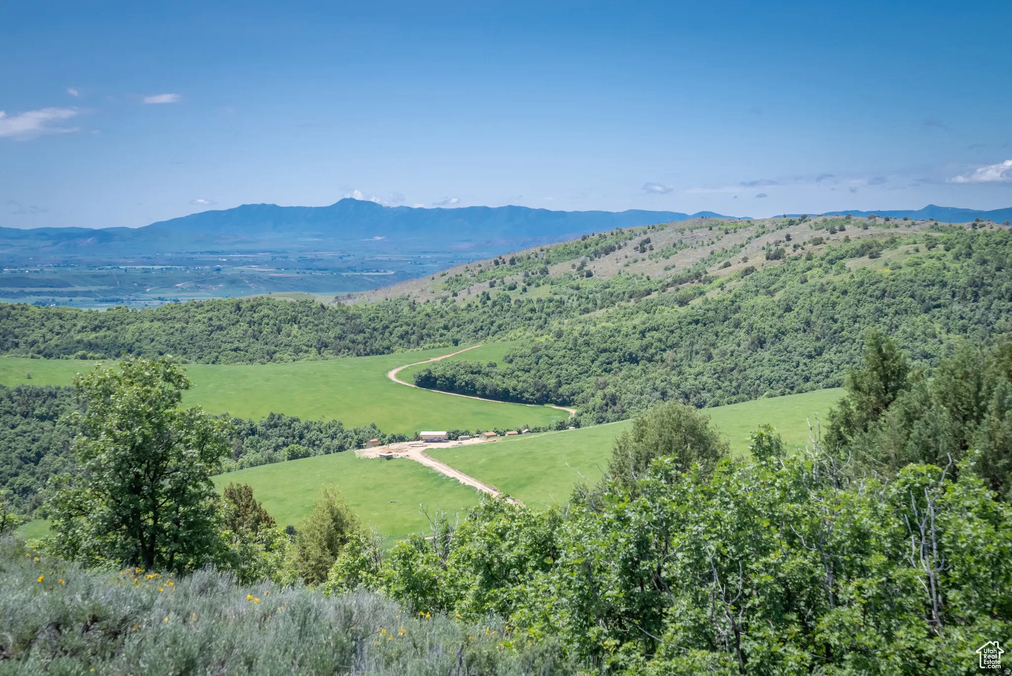 Mountain view