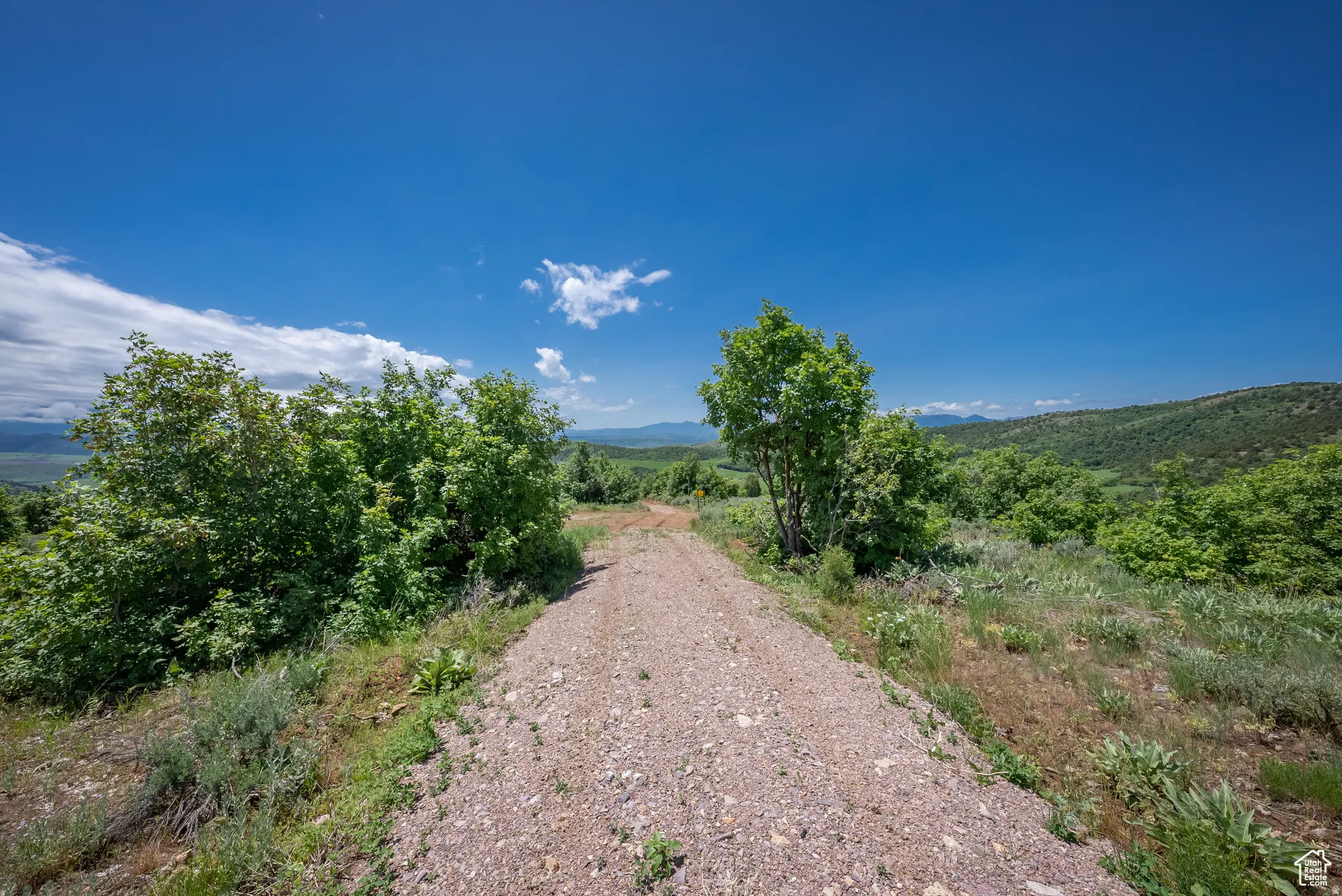 View of dirt / gravel road