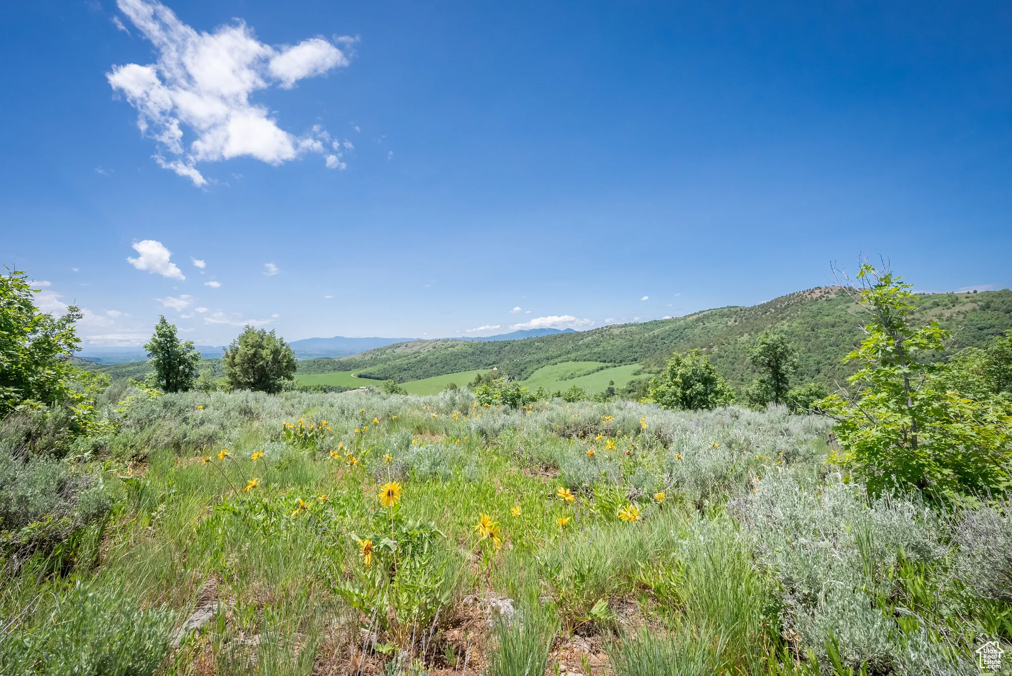 View of mountain background