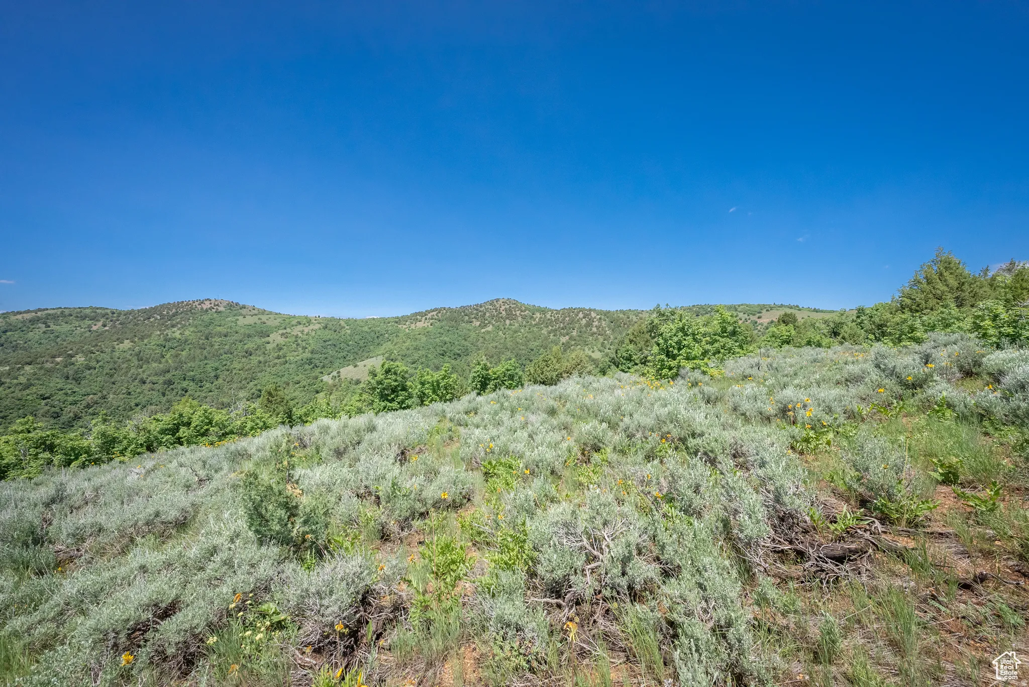 View of mountain background