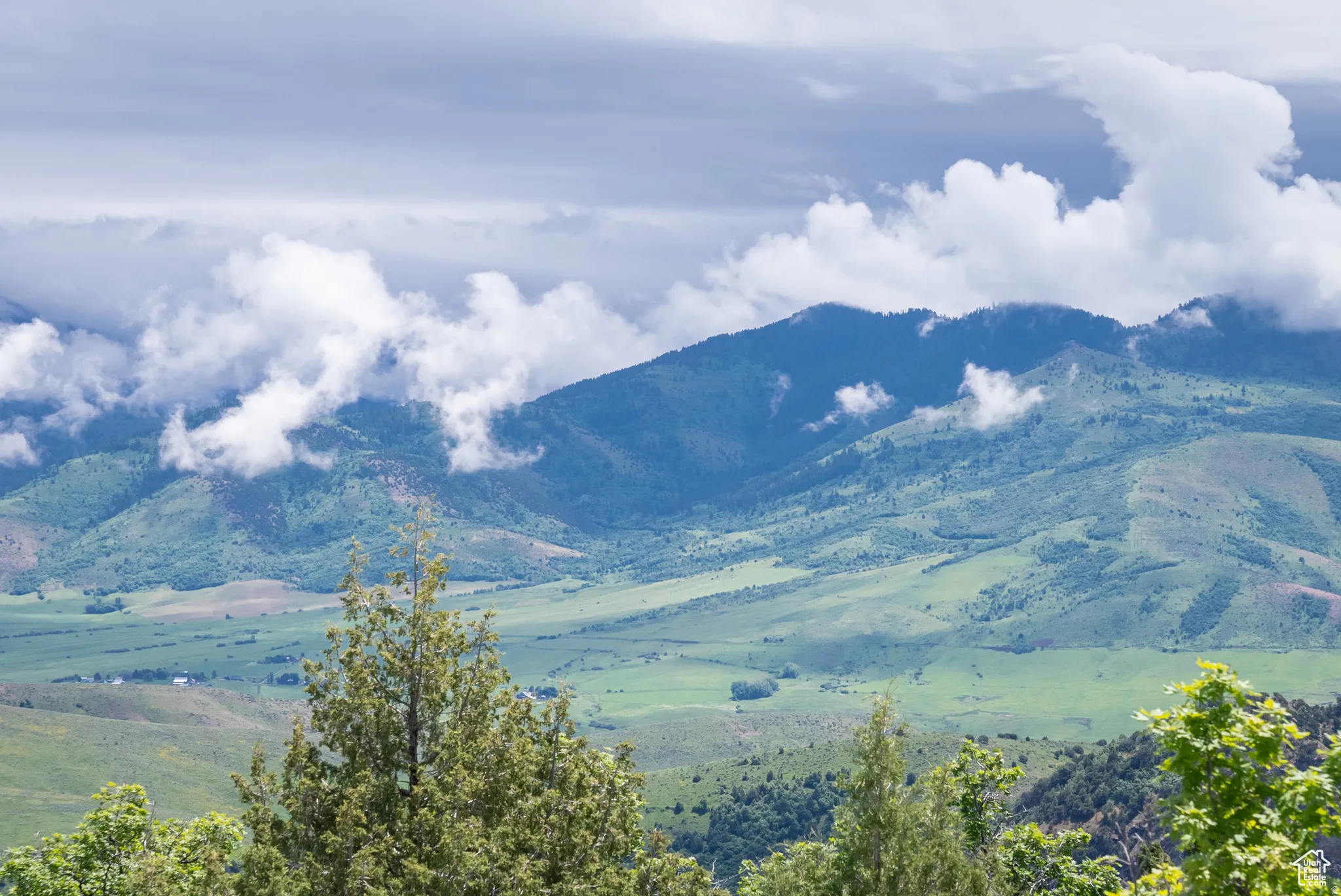 View of mountain background
