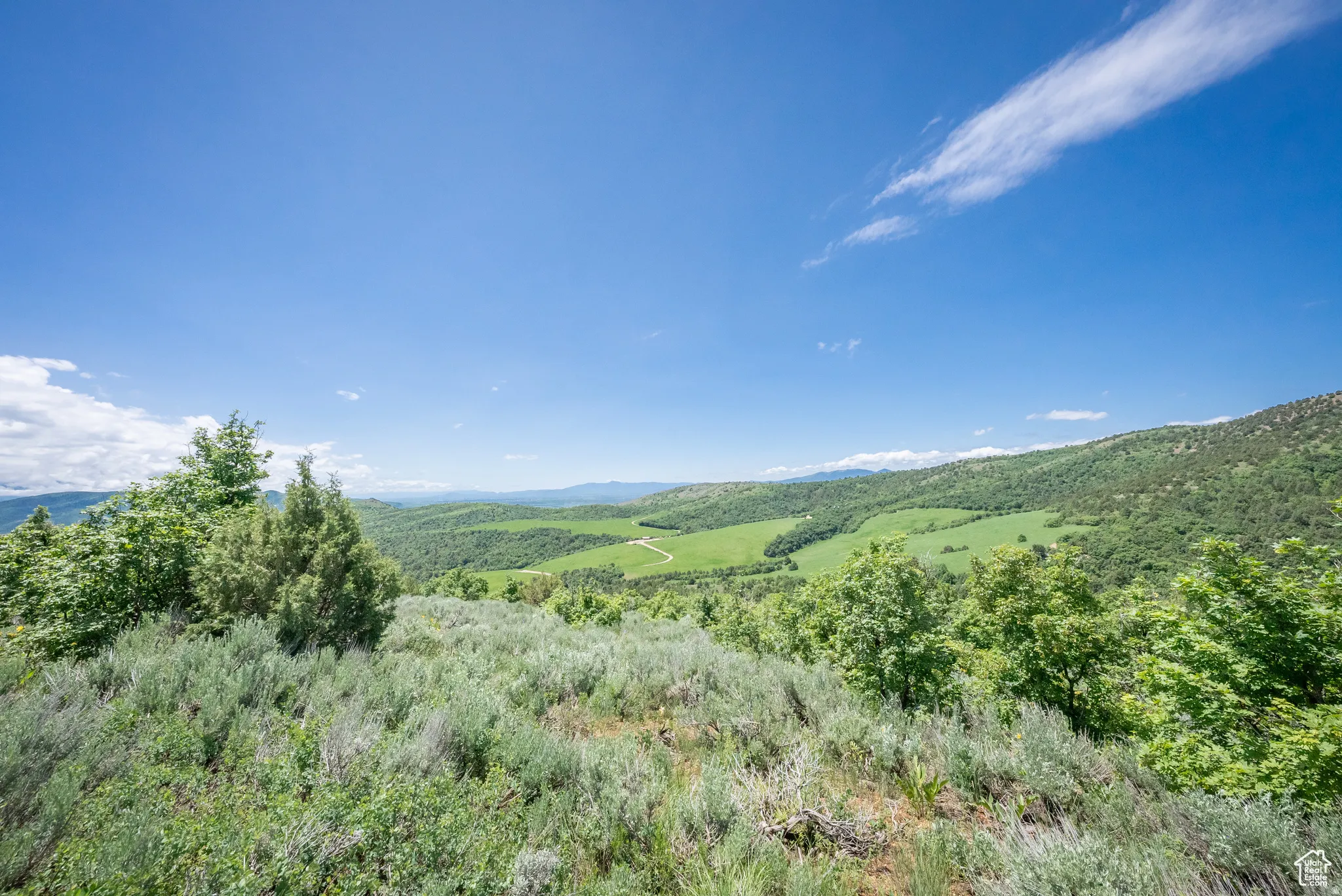View of mountain background