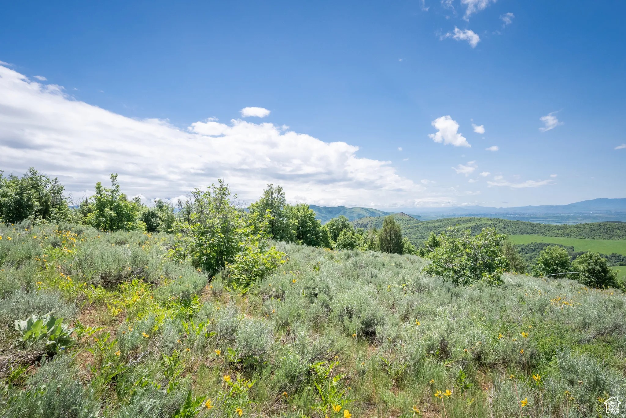 View of mountain backdrop
