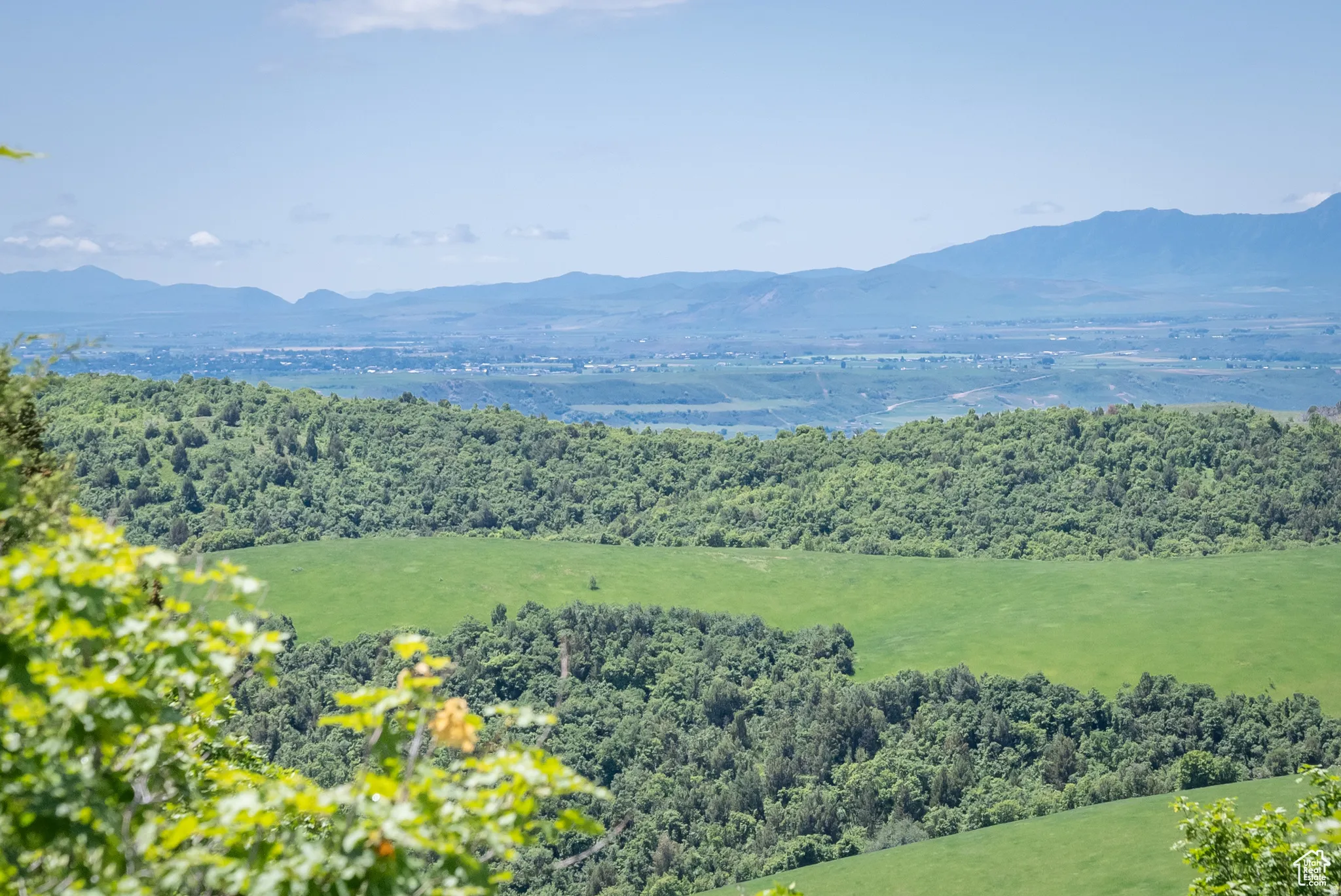 View of mountain backdrop with a heavily wooded area