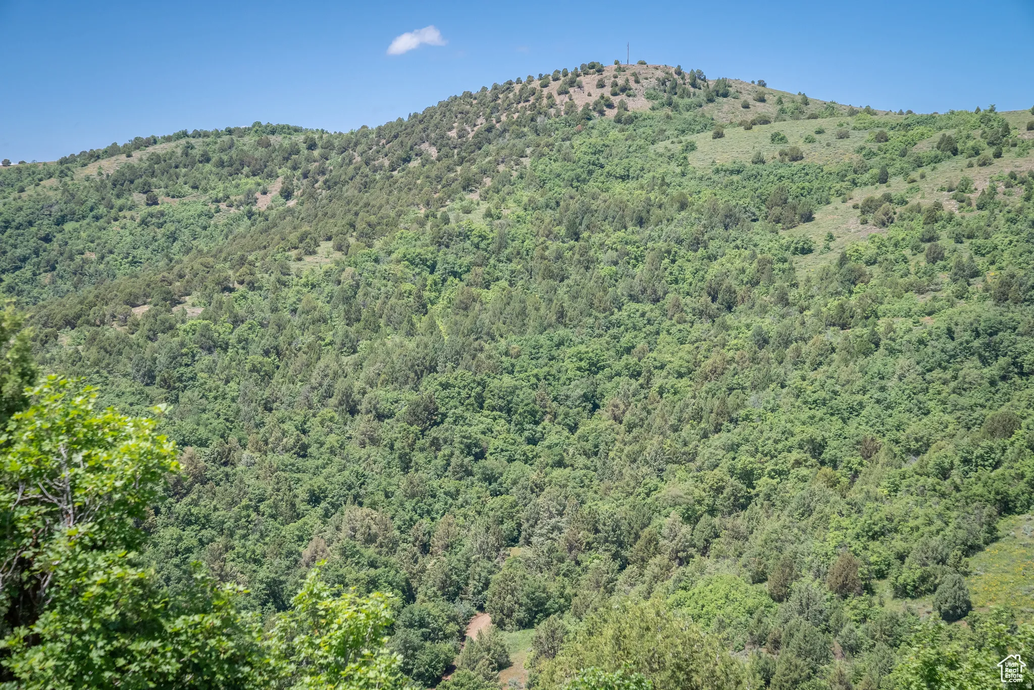 View of mountain background