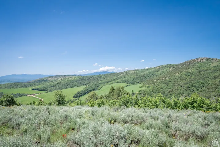 View of mountain background