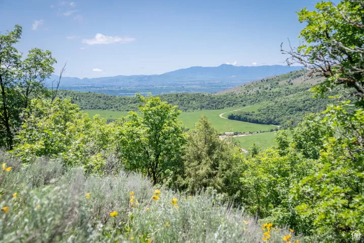 Mountain view featuring a forest