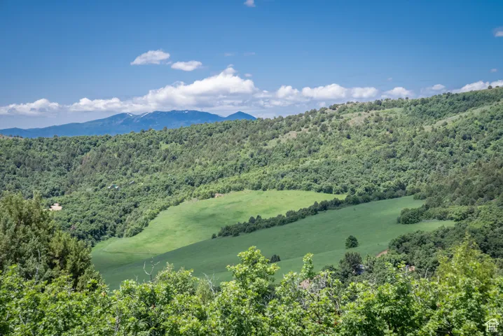 View of mountain background with a forest