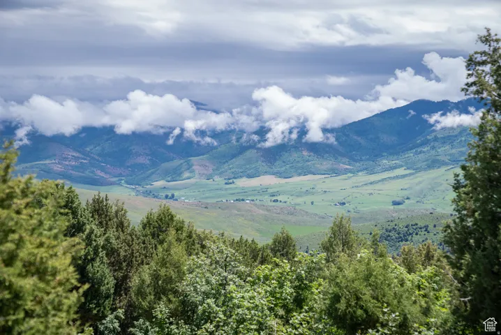 View of mountain background