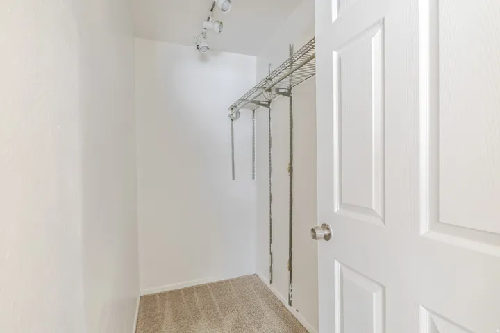 Walk in closet with light colored carpet