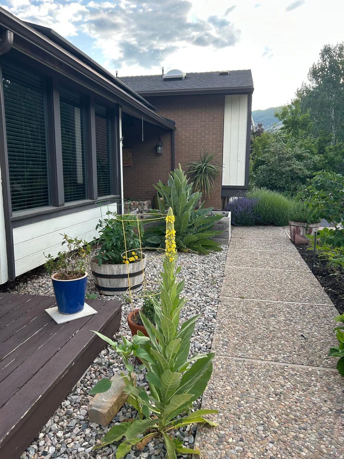 View of side of home featuring brick siding, a deck, and a shingled roof