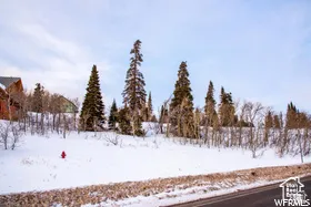 View of snowy yard
