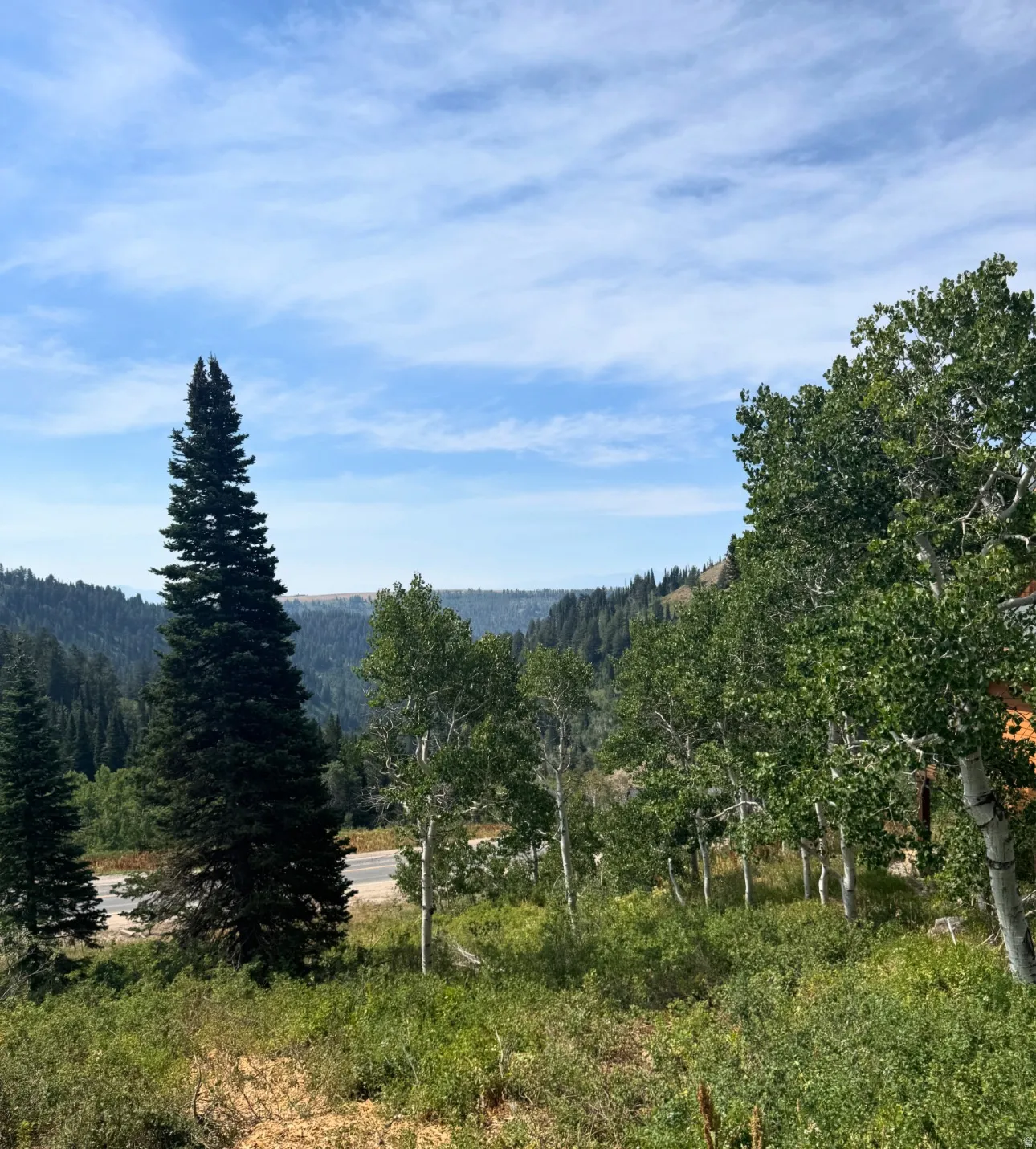 View of mountain backdrop featuring a heavily wooded area