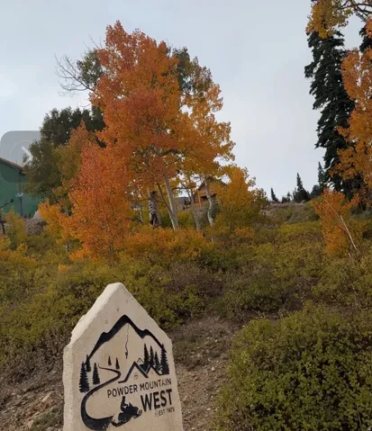 View of property's community