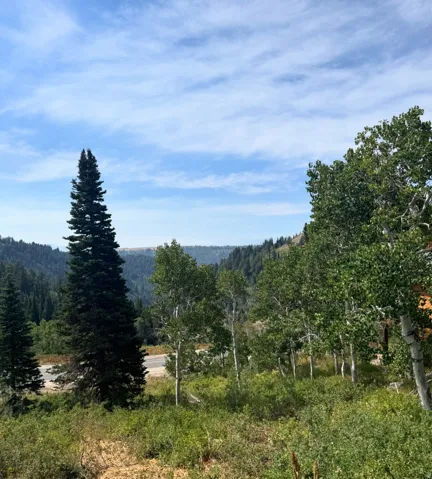 View of mountain backdrop featuring a heavily wooded area