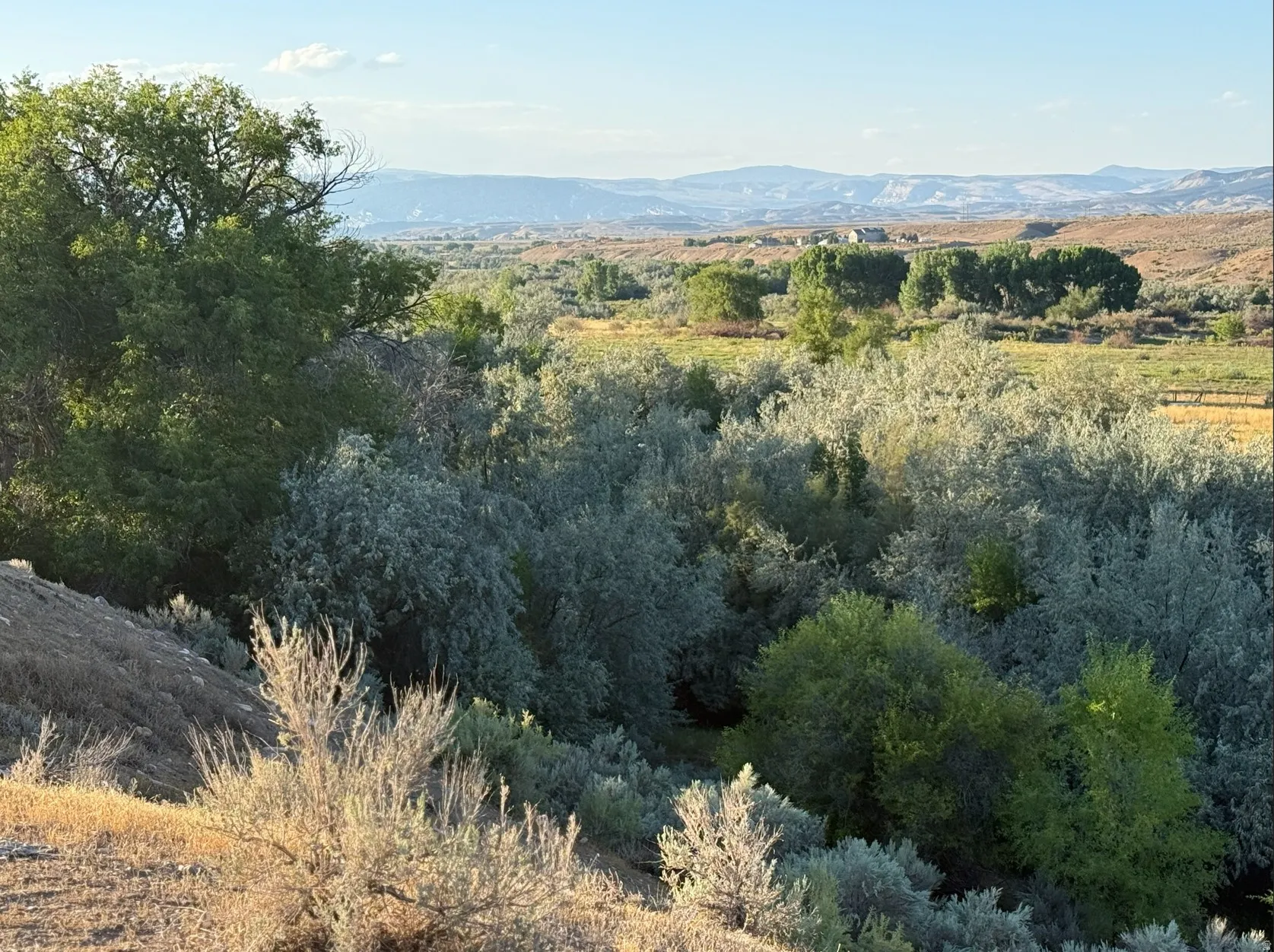 View of mountain background