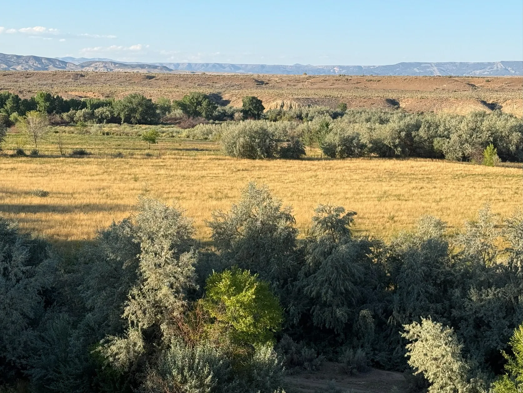 View of local wilderness featuring mountains
